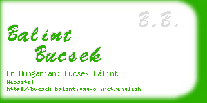 balint bucsek business card