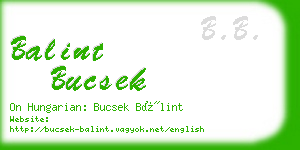 balint bucsek business card